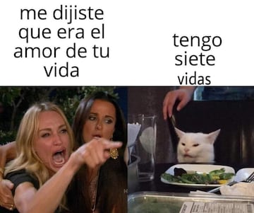 Meme gato