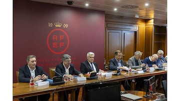 Pedro Rocha informa a las territoriales de los avances federativos
