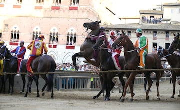 El Palio de Siena (Palio di Siena) es una carrera de caballos de origen medieval que enfrenta a los distritos de la ciudad de Siena dos veces al año. La primera carrera se celebra el dos de julio (Palio di Provenzano) y la segunda el 16 de agosto (Palio d