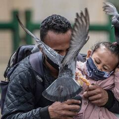 Cuáles son las 43 actividades exceptuadas por el decreto 878 en la cuarentena