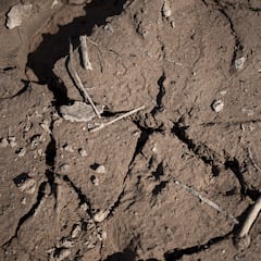 ¿Qué es el Acuerdo de París sobre el cambio climático, qué países lo forman y cuáles son las estrategias?