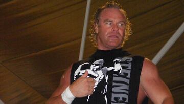 El luchador estadounidense fue uno de los mejores exponentes de parejas en la historia de la WWE, donde ganó más de una decena de campeonatos.