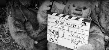 Star Wars Blue Harvest El Retorno del Jedi pel赤cula logo fake
