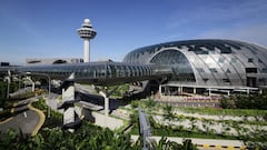 This airport has been chosen the best in the world for the 13th time: It has a butterfly garden and the world’s largest indoor waterfall