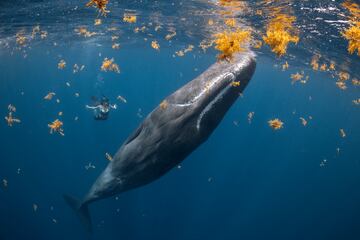 Primer puesto: Fotografía de Steve Woods en Dominica.