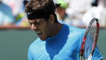 COMPROMETIDO. El tenista de Tandil sigue teniendo la Copa Davis entre ceja y ceja.