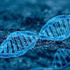 How to request the deletion of your data from 23andMe