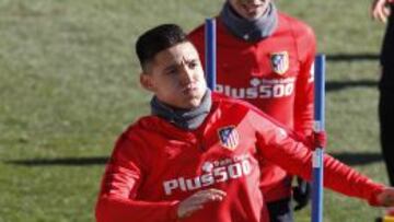 Kranevitter.