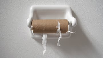 empty toilet paper roll on white wall.Please Also See: