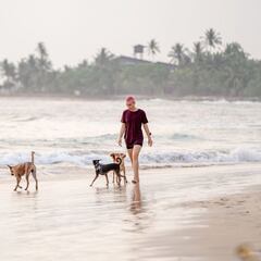 Las playas para perros en España 2022: cuáles son y dónde están