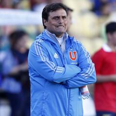 Hoyos lamenta la baja de Pinilla: "No tenerlo es un dolor"