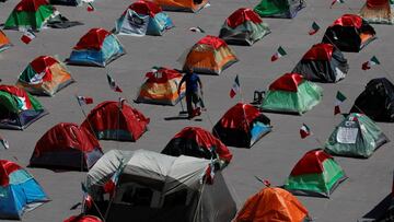 ¿Qué es y qué persigue el FRENAA en México?