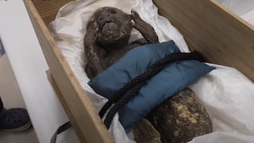 Resuelven 300 años después el misterio de la sirena momificada de Japón