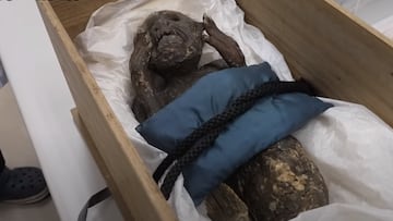 Resuelven 300 a?os despu¨¦s el misterio de la sirena momificada de Jap¨®n