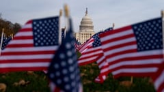 What is the difference between Veterans Day and Armed Forces Day?