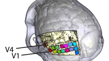 04/12/2020 Restauran una forma rudimentaria de visi&Atilde;&sup3;n en ciegos mediante un implante cerebral.
 
 Restaurar la visi&Atilde;&sup3;n en personas ciegas mediante un implante cerebral es una posibilidad que est&Atilde;&iexcl; a punto de convertir