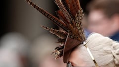 It's hats off to the Cheltenham festival