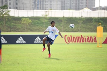 El equipo de Reinaldo Rueda tiene el gran objetivo de conseguir los tres puntos ante Ecuador en su casa. El partido será clave para la clasificación y el entrenador ya determina los detalles de los 11 jugadores que comenzarán el partido este jueves 13 de octubre. 