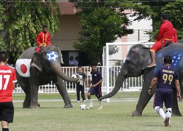 Elephants kick-off World Cup fever in Thailand