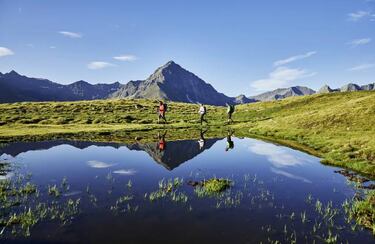 Sumergidos en la naturaleza de los Alpes