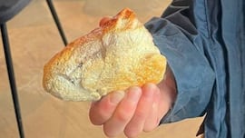 Un niño se lleva lo que creía que era una piedra de la playa y empieza a humear: “Las marcas de quemaduras estaban por toda la terraza”