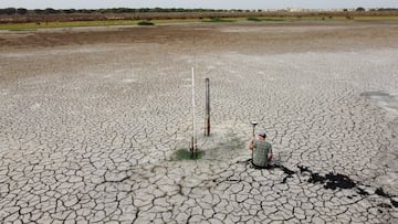 La laguna más grande de Doñana se queda sin agua