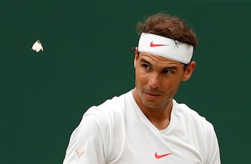 Rafael Nadal 