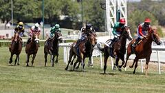 Imagen de una carrera de caballos en el Hip&oacute;dromo de La Zarzuela.
