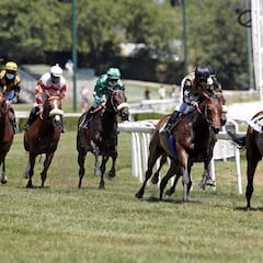 Tragedia en el turf: mueren siete caballos al incendiarse el camión en el que viajaban