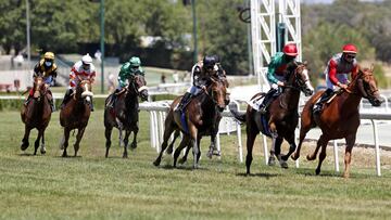 Imagen de una carrera de caballos en el Hip&oacute;dromo de La Zarzuela.