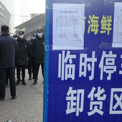 La OMS ya tiene fecha para su visita al origen de la pandemia