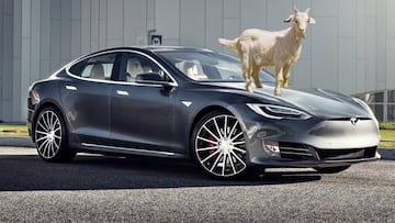 Claxons de cabras y pedos y detector de baches para los coches Tesla
