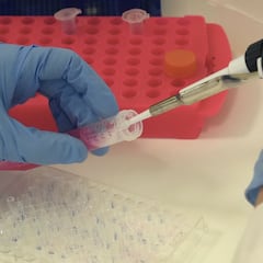 El óxido nítrico, la molécula asociada al riesgo de padecer cáncer: ¿dónde se encuentra?