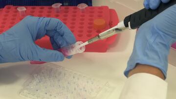 El óxido nítrico, la molécula asociada al riesgo de padecer cáncer: ¿dónde se encuentra?