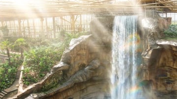 El país abre el invernadero tropical más grande del mundo y salta la polémica: “La comodidad del visitante es lo primero”