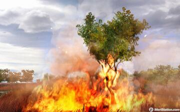 Captura de pantalla - fcry2_pc_tree_on_fire_02.jpg