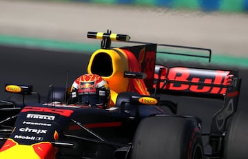 Piloto belga de Red Bull, Max Verstappen.