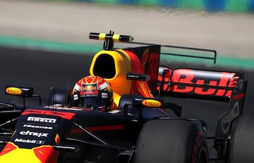 Piloto belga de Red Bull, Max Verstappen. 