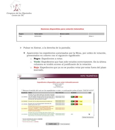 ?C¨®mo funciona el voto telem¨¢tico? Esto dice el Reglamento