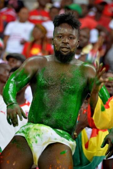 Color en las gradas de la Copa de ?frica