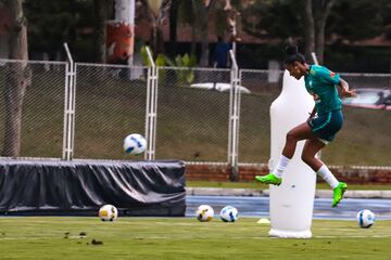 Luego de la victoria ante Paraguay, la Selección Femenina de Brasil volvió a trabajos de campo en la cancha de la Universidad Industrial de Santander, esta vez con miras a la gran final de la Copa América Femenina ante Colombia.