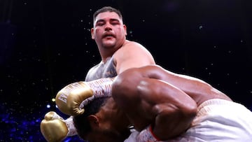 Eddy Reynoso, entrenador del Canelo &Aacute;lvarez, anunci&oacute; que lleg&oacute; a un acuerdo con Andy Ruiz para ser quien lo gu&iacute;e nuevamente a los cuadril&aacute;teros.