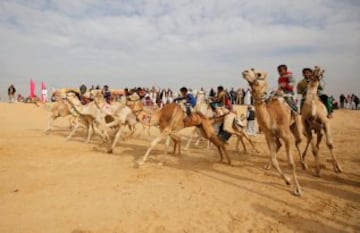Carreras de camellos en el desierto
