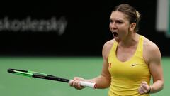 Simona Halep celebra su victoria en la Fed Cup.