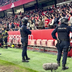 Antiviolencia pide el cierre total del Sánchez-Pizjuán por un mes