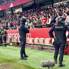 El TAD suspende cautelarmente la clausura parcial del estadio Ramón Sánchez-Pizjuán