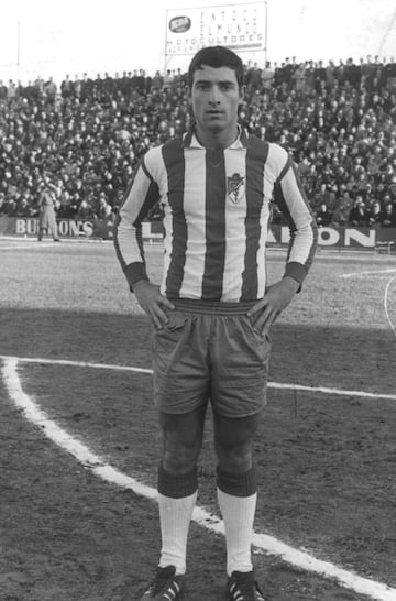 Jugó con el Granada desde 1970 hasta 1972. Defendió la camiseta del Barcelona desde 1972 hasta 1980. 