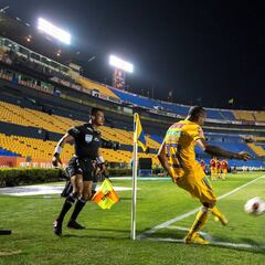 Pospone Tigres actividades tras contingencia