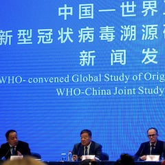La OMS descubre que el brote inicial de Wuhan pudo ser más amplio de lo que se creía