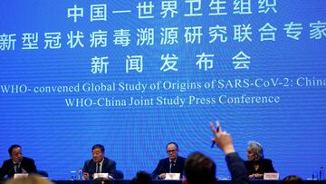 FILE PHOTO: Peter Ben Embarek, a member of the World Health Organization (WHO) team tasked with investigating the origins of the coronavirus disease (COVID-19), attends the WHO-China joint study news conference at a hotel in Wuhan, Hubei province, China F